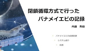 第21回セミナー話題提供『閉鎖循環方式で行ったバナメイエビの記録』 内藤秀樹 氏