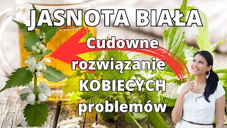 Jasnota biała: cudowne właściwości lecznicze, szczególnie dla KOBIET! Sprawdź!