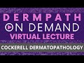 Introduction to Dermatology & Dermatopathology v2022