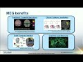 atomic magnetometer for biological imaging in earth s native terrain ambiient