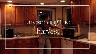 the final PRESERVING before WINTER - part one