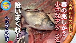 成るか！今年、ヘラブナ初モノ釣り上げろ！【ヘラブナ釣り】【トーベエ釣三昧】【水広公園池】