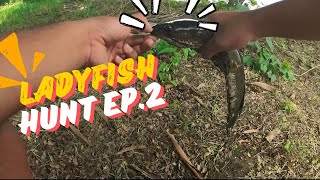 LADYFISH HUNT | EP.2