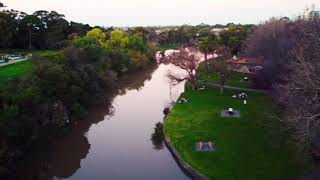 Coburg lake drone view