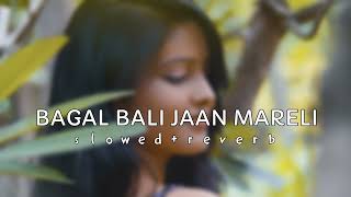 BAGAL BALI JAAN MARELI || SLOWED+REVERB || #slowedandreverb #bhojpurisong #bhojpurilofi