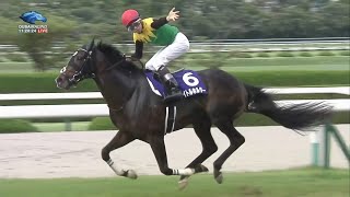 2022.06.26 Takarazuka Kinen (JPN) - Titleholder