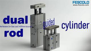 Dual Rod Guided Air Cylinders Products