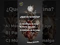 comenta cuantas has acertado😼🧠 anatomiafacil anatomiahumana anatomy preguntas trivia quiz