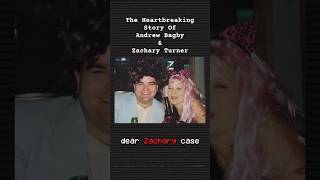 The Heartbreaking Dear Zachary Case| #truecrimestories #truecrimeaddict #truecrimecommunity #mystery