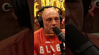 Joe Rogan On Elon Musk’s Simulation Theory