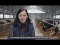 dairy farm with 34 gea dairyrobots r9500 in belarus