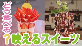 大人気！映えるスイーツ!!どう食べる？【熱血特集】