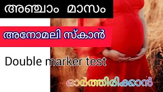 അഞ്ചാം മാസത്തിലെ അനോമലി സ്കാനിംഗ്| fifth month of pregnancy in malayalam