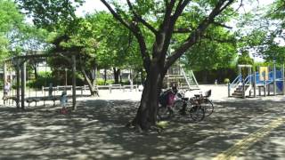 小平中央公園