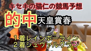 2018天皇賞春的中　キセキの猫仁の競馬予想