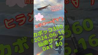 初ヒラメ開幕！2024.06.16仙南サーフDAY40 #shorts #fishing #ヒラメ