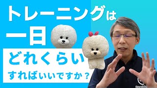 【犬のしつけ】子犬のトレーニングは一日何分がいいですか？【悩み相談ライブ切り抜き】