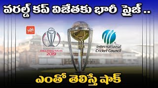 ICC Cricket World Cup 2019 : Prize Money For World Cup Winners | India | England | YOYO TV Channel