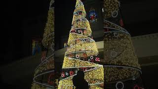 SACRED HEART LATIN CHURCH CHRISTMAS TREE LIGHTS ON #christmas #merrychristmas #saintmark