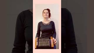 3 Months Learning Concertina - Din Tarrant's No 2 Polka