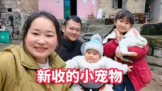 远嫁小姑回娘家带了3只兔子，还贴心的买个笼子，女儿十分喜欢