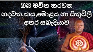 ඔබ මවිත කරවන හදවත,කය,මොළය හා සිතුවිලි අතර සබැදියාව | Heart ,Body, Brain and Thinking