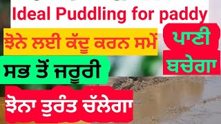 Ideal puddling for paddy crop| ਝੋਨਾ ਲਾਉਣ ਲਈ ਇਸ ਤਰੀਕੇ ਕੱਦੂ ਕਰਨ ਨਾਲ ਬੂਟੇ ਦੂਜੇ ਦਿਨ ਚੱਲਣਗੇ