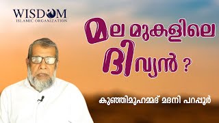 മല മുകളിലെ ദിവ്യൻ ?കുഞ്ഞി മുഹമ്മദ് മദനി പറപ്പൂർ