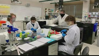 Former Noblesville students make scientific discovery