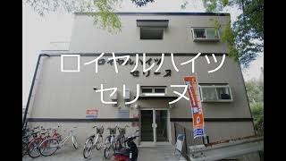 ロイヤルハイツセリーヌ（黒髪のロフト付き1R、熊本大学生におすすめ）