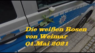 Die weißen Rosen von Weimar 01.05.21...eine Geschichte