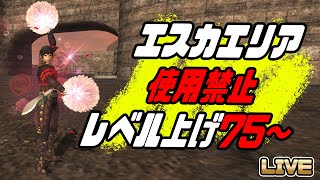 【FF11】経験値ステップアップキャンペーン-HQを使ったら99まで行けるかな？【LV75～】