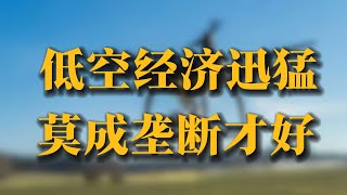 低空经济迅猛，莫成垄断才好 | 低空经济 | 拍卖特许经营权 |空域垄断 |政府黔驴技穷，卖天卖地卖空气