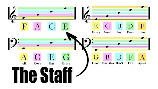 How To Read Notes On The Staff | EASY | Music Theory Tutorial