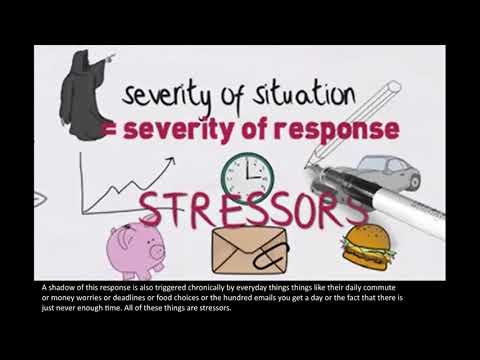 Interoception Behaviour Neuroscience 101 Youtube