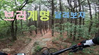 #재밌는코스 브리~계명싱글