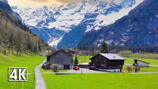 Engelberg 🌷 Spring walk 4K 🇨🇭 beautiful village in central Switzerland