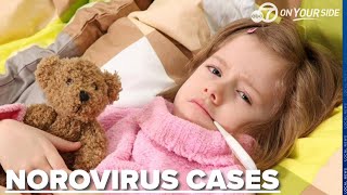 Norovirus cases on the rise: what to know about the virus