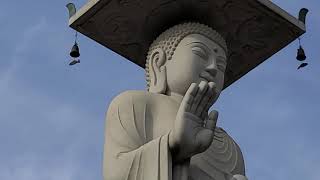 미륵대불, 봉은사,조계종, 삼성동, 코엑스앞, Maitreya Buddha, Bongeunsa, Jogyesa, Jogye Temple, COEX front, @우리들TV