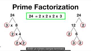 Prime Factorization Spanish
