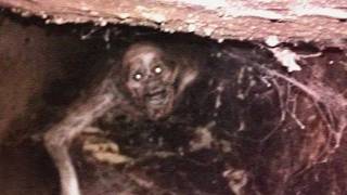 Forbidden Discoveries That Were Never Meant To Be Public