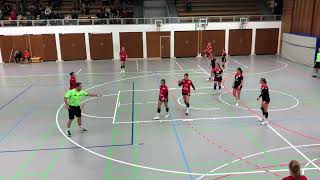 F-VL-2: TV Weingarten I - MTG Wangen I 24:28 (10:12)