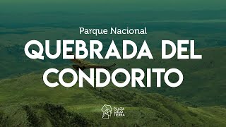 QUEBRADA DEL CONDORITO - Parque Nacional