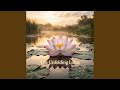 The Unfolding Lotus