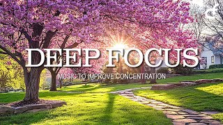 Intense Focus Music for Work and Study | 11 Hours of Ambient Sound for Deep Focus