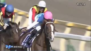 第24回【NHKマイルカップ】アドマイヤマーズ