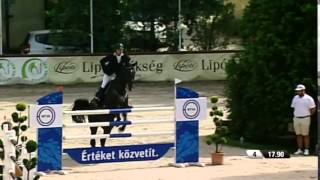 10 yo gelding Longines CSIO Budapest 150 cm