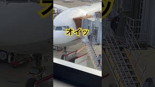 ヤバすぎるゴミ捨て #shorts #飛行機