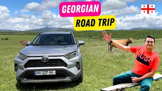 EP #16 🇬🇪 Driving to the Russian border | Georgian ഉൾഗ്രാമങ്ങളിലൂടെ ഒരു റോഡ്‌ ട്രിപ്പ്‌