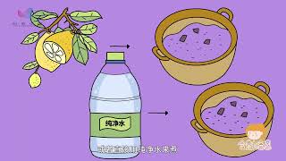 紫薯煮粥后变蓝，是变质了吗？